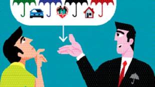 money, insurance setor