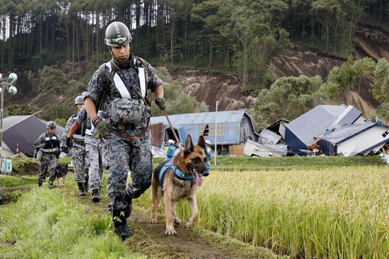 japan earthquake, japan earthquake 2018, japan earthquake images, japan earthquake pic, japan earthquake today images, japan earthquake photos, japan earthquake pictures, japan earthquake today pictures, japan earthquake 2018 today, japan earthquake 2018 osaka