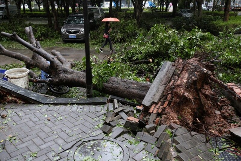 typhoon mangkhut live, typhoon mangkhut path, typhoon mangkhut latest news, typhoon mangkhut china, typhoon mangkhut vietnam, typhoon mangkhut hong kong, typhoon mangkhut update, typhoon mangkhut images, typhoon mangkhut pictures, typhoon in china 2018, typhoon in china now, typhoon in china pictures