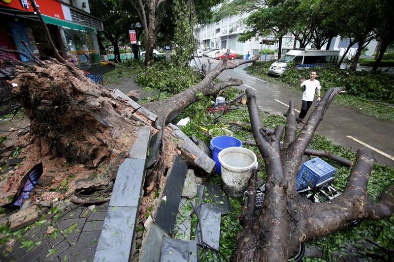 typhoon mangkhut live, typhoon mangkhut path, typhoon mangkhut latest news, typhoon mangkhut china, typhoon mangkhut vietnam, typhoon mangkhut hong kong, typhoon mangkhut update, typhoon mangkhut images, typhoon mangkhut pictures, typhoon in china 2018, typhoon in china now, typhoon in china pictures