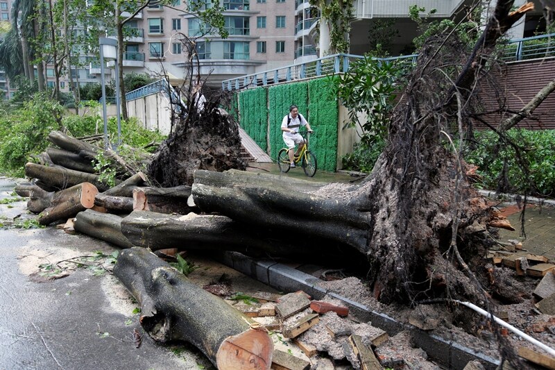 typhoon mangkhut live, typhoon mangkhut path, typhoon mangkhut latest news, typhoon mangkhut china, typhoon mangkhut vietnam, typhoon mangkhut hong kong, typhoon mangkhut update, typhoon mangkhut images, typhoon mangkhut pictures, typhoon in china 2018, typhoon in china now, typhoon in china pictures
