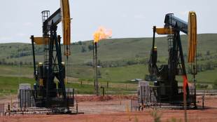 crude oil, stock markets