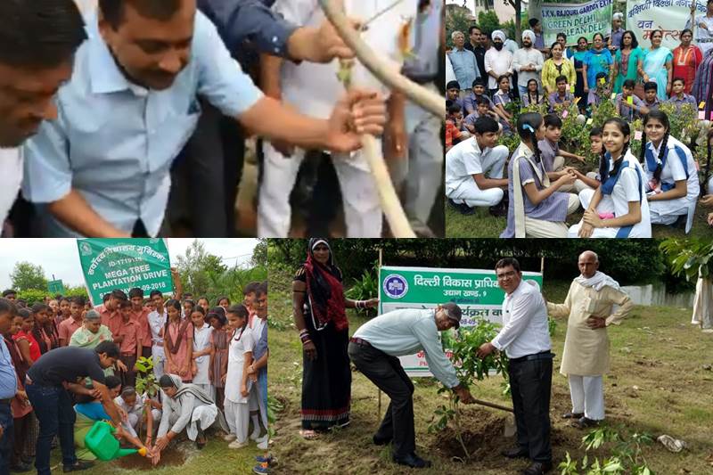 delhi plantation drive, mega tree plantation drive, delhi tree plantation, tree plantation day photos, arvind kejriwal, tree plantation in delhi, tree plantation campaign delhi