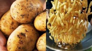 potato, french fries, fries, potato fries, fries demand