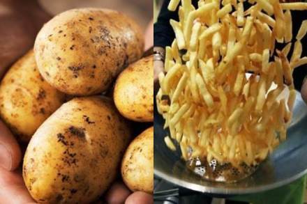 potato, french fries, fries, potato fries, fries demand