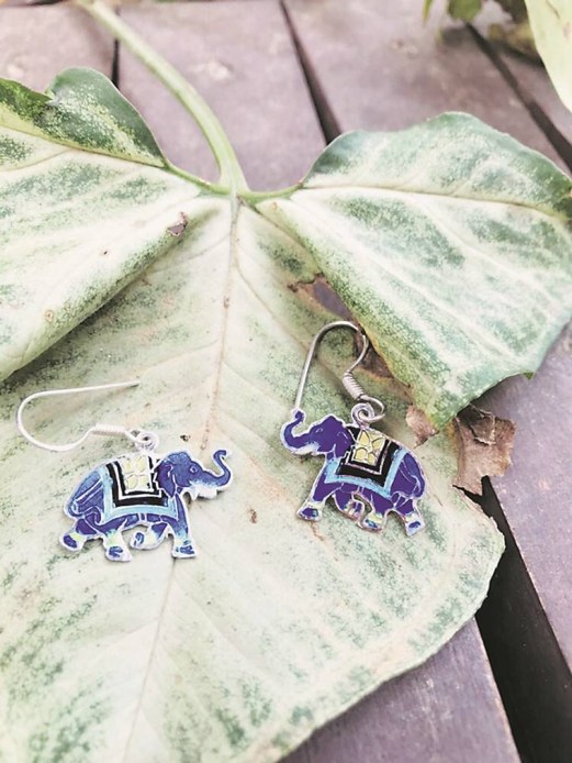 Gautam Thakar, star sports