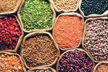 Out of 48.74 lakh tonne of pulses procured by Nafed since 2016 under the augmented PSS, only about 5 lakh tonnes have been disposed of. 
