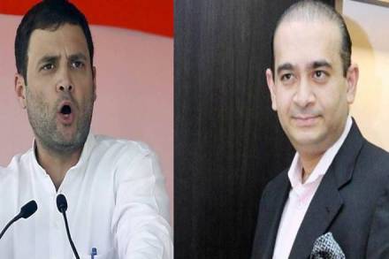 pnb fraud, pnb scam, nirav modi, rahul gandhi pnb fraud, pnb scam, nirav modi, rahul gandhi