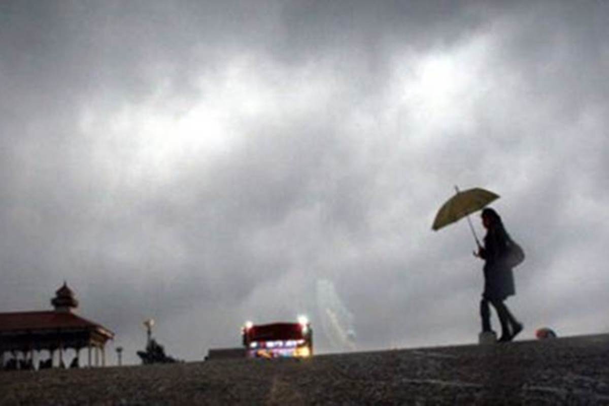 Widespread rainfall in Punjab, Haryana may damage paddy crop Widespread rainfall in Punjab, Haryana may damage paddy crop