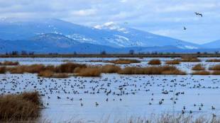 climate news, latest news, important news, trending news, climate change, climate change news, climate change news today,