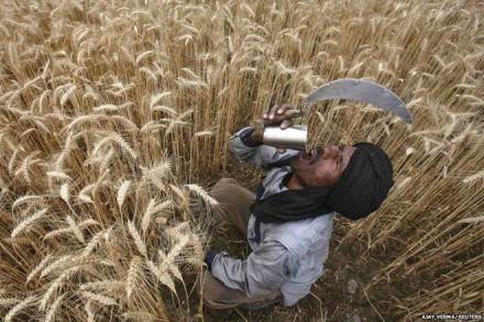 China, Maharashtra, farmers, soyabean, minimum guaranteed price, Tang Gochai, Devendra Fadnavis, india news