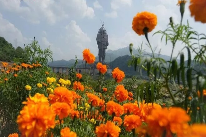 STATUE OF UNITY STATUE OF UNITY