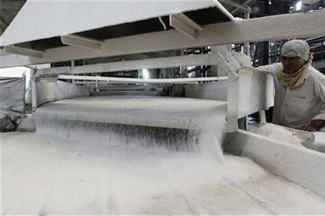 sugar, sugar output