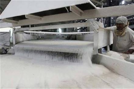 sugar, sugar output