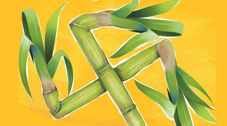 sugar, sugarcane, sugar industry