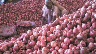 onion price today, onion price in noida, onion price today in up, onion price today in india, onion price today in delhi, onion price in Delhi, onion price in india today, onion price in delhi today, onion price in delhi 2018, onion price in delhi mandi, today's onion market price in india, onion price rise in india today