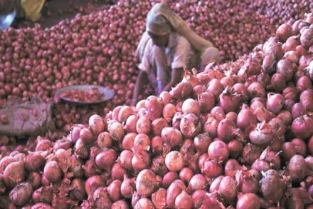 onion price today, onion price in noida, onion price today in up, onion price today in india, onion price today in delhi, onion price in Delhi, onion price in india today, onion price in delhi today, onion price in delhi 2018, onion price in delhi mandi, today's onion market price in india, onion price rise in india today onion price today, onion price in noida, onion price today in up, onion price today in india, onion price today in delhi, onion price in Delhi, onion price in india today, onion price in delhi today, onion price in delhi 2018, onion price in delhi mandi, today's onion market price in india, onion price rise in india today