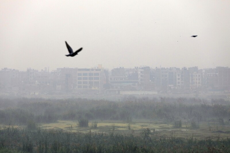 delhi air pollution, delhi pollution, air pollution in delhi, pollution in delhi, air pollution index noida, delhi air pollution images, delhi pollution pictures, delhi pollution pics, air pollution in noida today, delhi pollution level today, air quality, air pollution in india, air pollution mask, air pollution in noida, air pollution level in noida today, air pollution level in ghaziabad