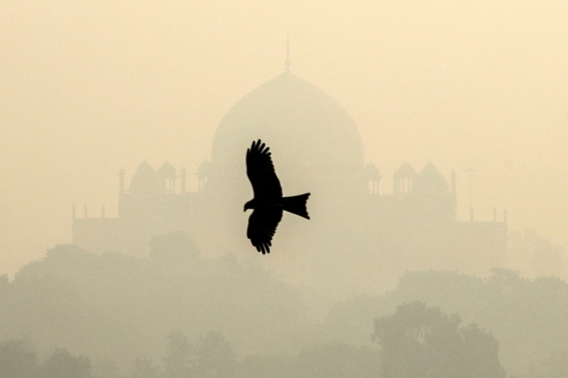 delhi air pollution, delhi pollution, air pollution in delhi, pollution in delhi, air pollution index noida, delhi air pollution images, delhi pollution pictures, delhi pollution pics, air pollution in noida today, delhi pollution level today, air quality, air pollution in india, air pollution mask, air pollution in noida, air pollution level in noida today, air pollution level in ghaziabad