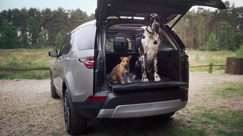 How to make your car/SUV pet-friendly: Must have kits on cars for dog lovers
