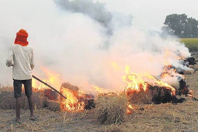Punjab farmers, paddy stubble, stubble burning, farm equipment, NGT, punjab government Punjab farmers, paddy stubble, stubble burning, farm equipment, NGT, punjab government