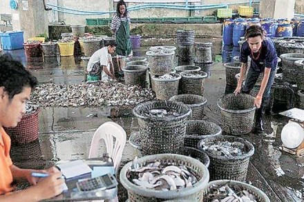 CCEA, fisheries sector infrastructure, FIDF, agriculture ministry, NCDC