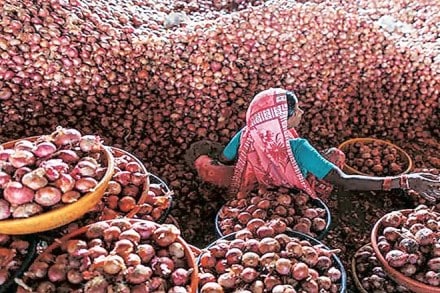 Onion prices, Onion price rise, Wholesale onion prices ,onion whole sale market, APMC, Lasalgaon