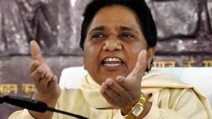 Mayawati, bjp, Sardar Vallabh Bhai Patel, BSP chief, Mayawati statue