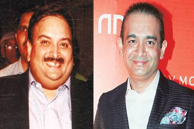 Nirav Modi, Mehul Choksi, ED attaches Nirav Modi assets, latest updates on nirav modi Nirav Modi, Mehul Choksi, ED attaches Nirav Modi assets, latest updates on nirav modi