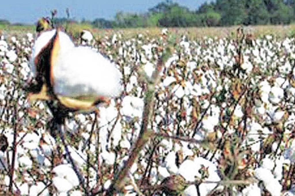 India is set to record strong growth in cotton yarn exports during FY19. India is set to record strong growth in cotton yarn exports during FY19.