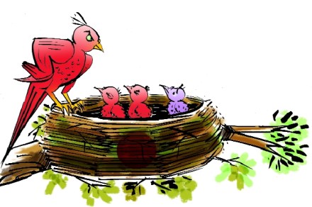 Naomi Osaka, Denny Tamaki , japan