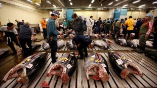 japan, Tsukiji fish market, latest news, important news, trending news, news today, world news, fish market closed