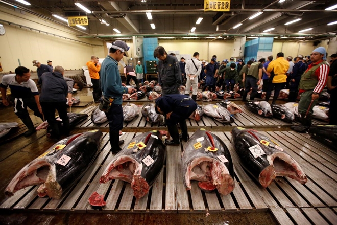 japan, Tsukiji fish market, latest news, important news, trending news, news today, world news, fish market closed japan, Tsukiji fish market, latest news, important news, trending news, news today, world news, fish market closed