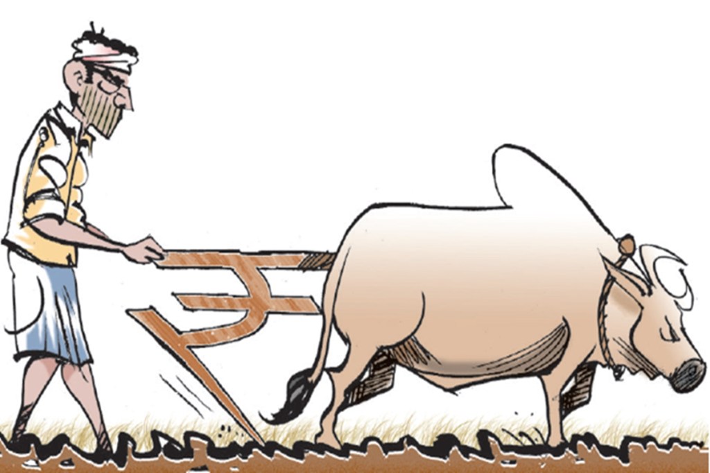 Farm credit flows need better monitoring: Experts Farm credit flows need better monitoring: Experts