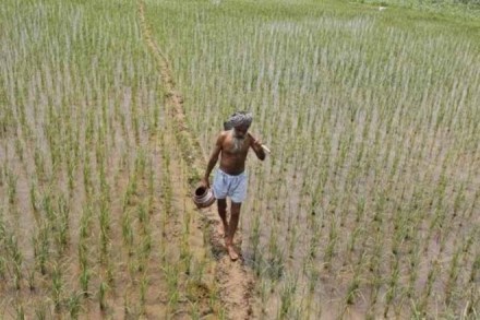 In order to cover a larger number of farmers, as a genuine social safety net, the technology component was to form the backbone for covering large areas and reducing human intervention and arbitrariness. 
