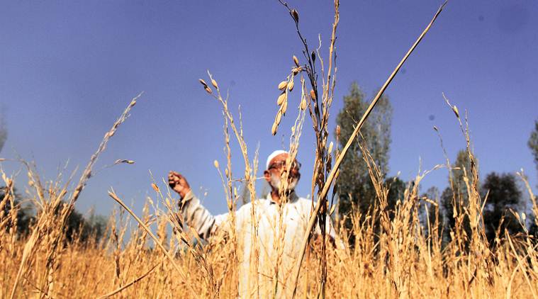 Shouting anti-BJP slogans, the farmers, with blisters on feet, reached Kisan Ghat at around 2 a.m. on Wednesday. (IE) Shouting anti-BJP slogans, the farmers, with blisters on feet, reached Kisan Ghat at around 2 a.m. on Wednesday. (IE)