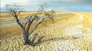 global warming, climate change