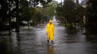 Hurricane Michael, Hurricane Michael toll, Hurricane Michael death toll, Hurricane Michael US, United States, Florida, Georgia, North Carolina, world news