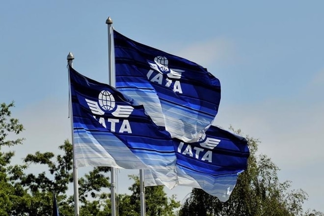 IATA. IATA NEWS, iata news, today, iata news today, iata news today, iata news now IATA. IATA NEWS, iata news, today, iata news today, iata news today, iata news now