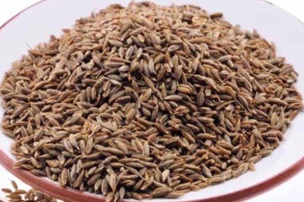 Jeera to trade lower on good stocks, lower export demand