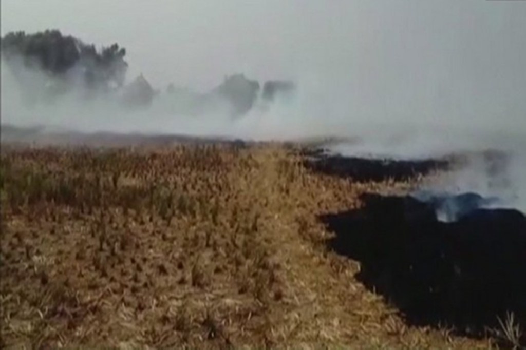 Despite ban, farmers in Karnal burn stubble