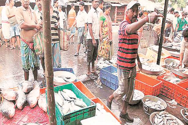 Draft policy, mariculture zones, cage farming, bivalve farming, pen culture, seaweed culture, hatcheries, national policy on mariculture