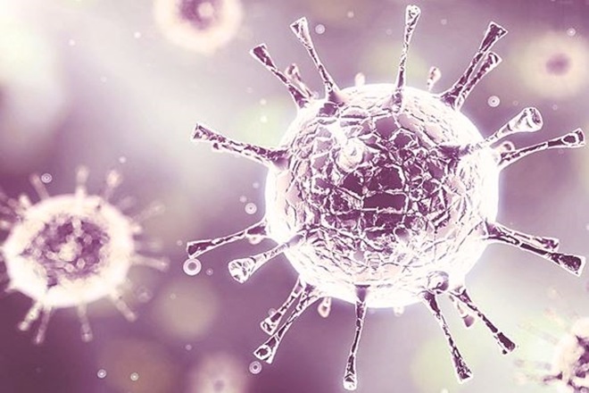 Human microbiota, a community of trillions of microorganisms that include bacteria, fungi and viruses. Human microbiota, a community of trillions of microorganisms that include bacteria, fungi and viruses.