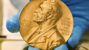 US, Japan, Nobel Medicine Prize, cancer therapy, immunologists, James Allison, Tasuku Honjo, science