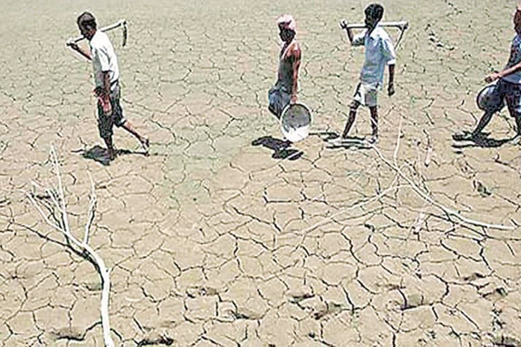 Dry spell in half of Maharashtra, 172 talukas declared drought affected tehsils