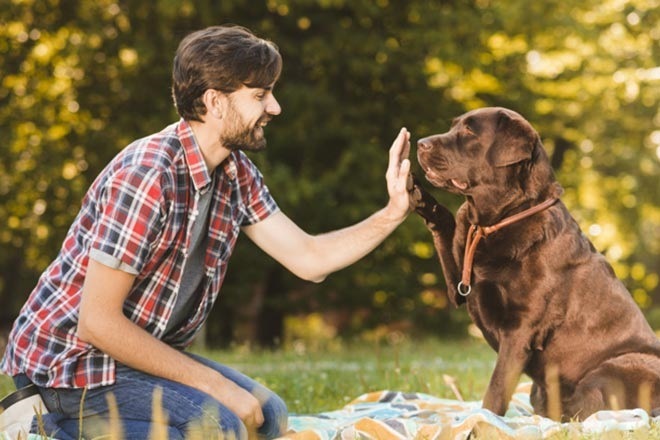 pet, cost of keeping pet, pet parenting, cost of keeping a dog, cost of keeping a bird, cost of keeping a cat, can you afford a pet