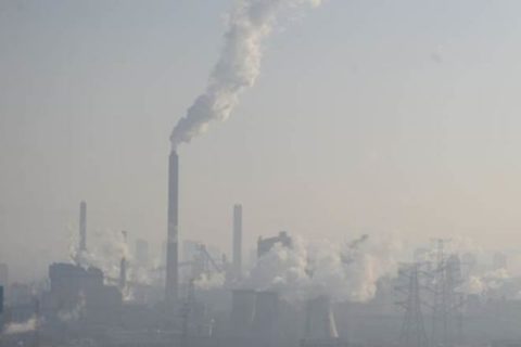 Banning private cars to lower pollution is useless, senseless: Knowledge of policymakers once again under question