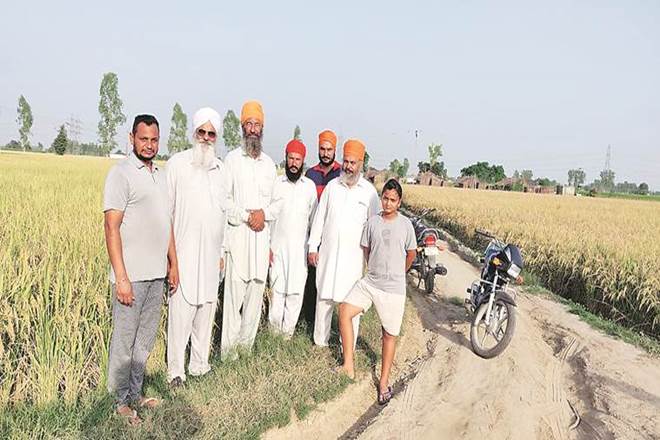 Gurbachan Singh (third from left) stands with other farmers next to his paddy field in Tarn Taran. (Source: The Indian Express/Navjeevan Gopal)