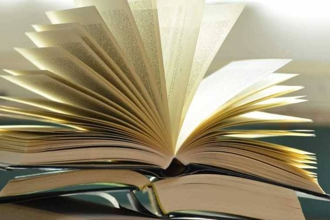 amitabh bagchi, amitabh bagchi book