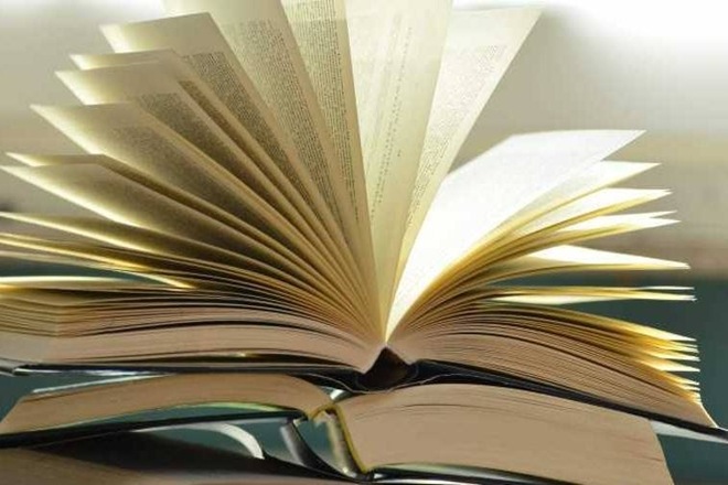 amitabh bagchi, amitabh bagchi book